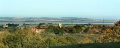 View to Sheppey
